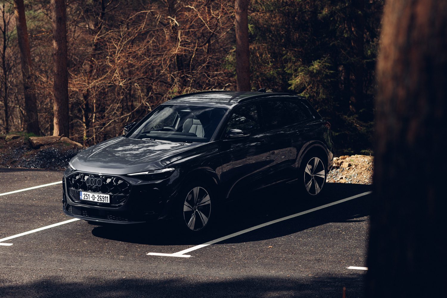 Audi Q5 2.0 TDI quattro (2025) Audi Q5 2.0 TDI quattro (2025)