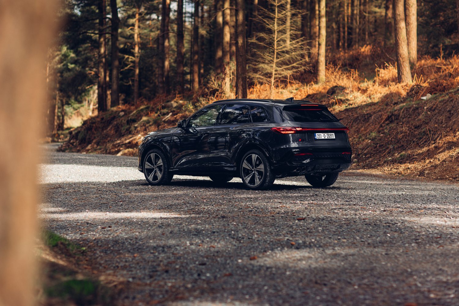 Audi Q5 2.0 TDI quattro (2025) Audi Q5 2.0 TDI quattro (2025)