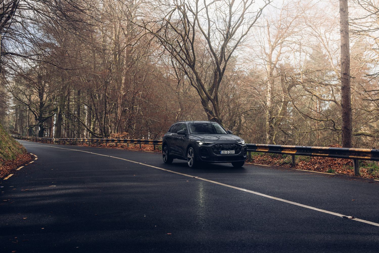 Audi Q5 2.0 TDI quattro (2025) Audi Q5 2.0 TDI quattro (2025)