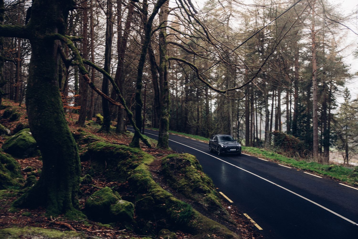 Audi Q5 2.0 TDI quattro (2025) Audi Q5 2.0 TDI quattro (2025)